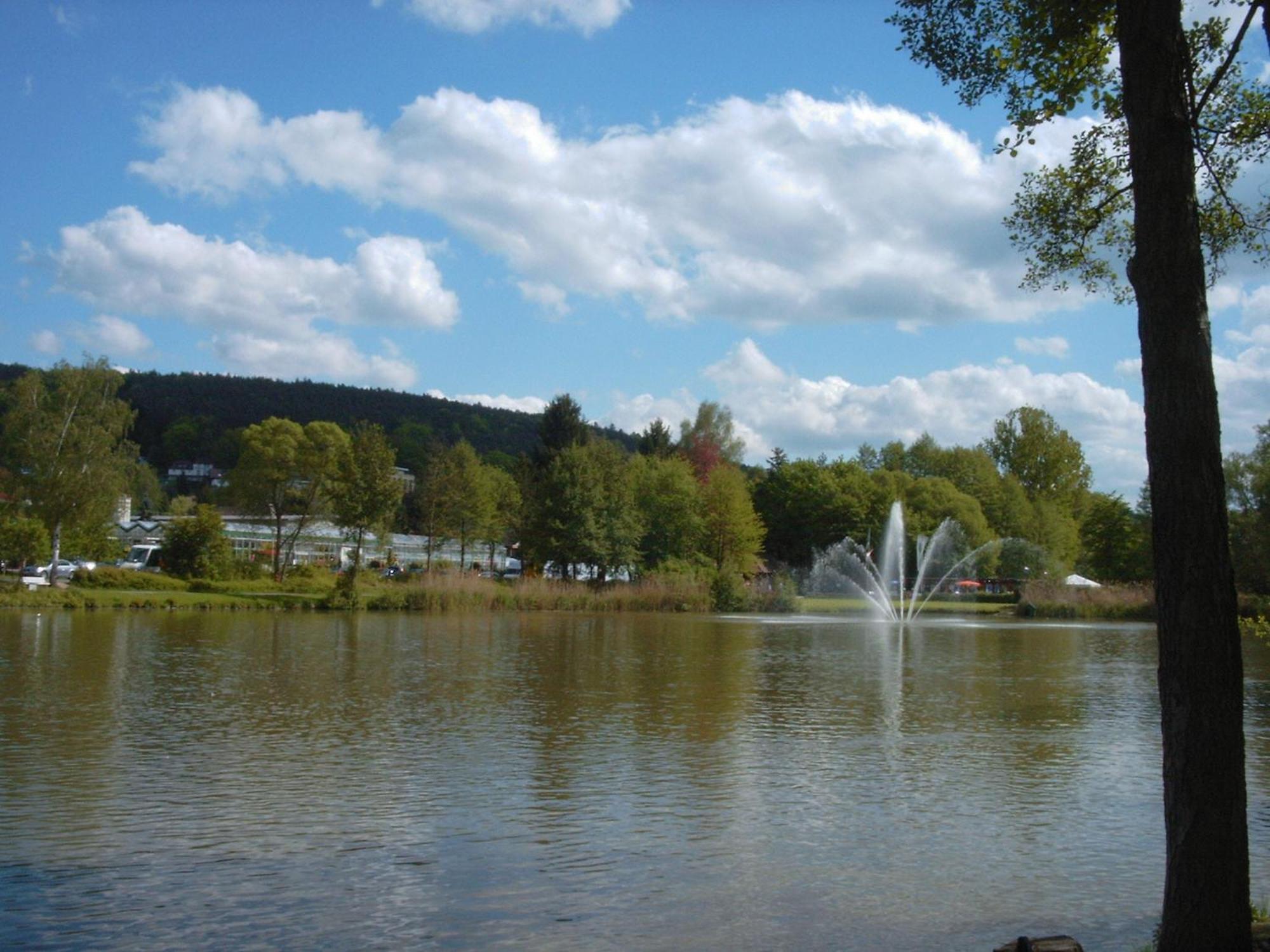 Hotel Irene Bad König Exteriör bild
